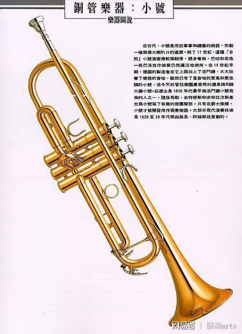 探秘最炫酷的銅管樂(lè)器 從古典到現(xiàn)代的魅力之聲